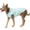 FuzzYard Flipside Dog Raincoat Mint
