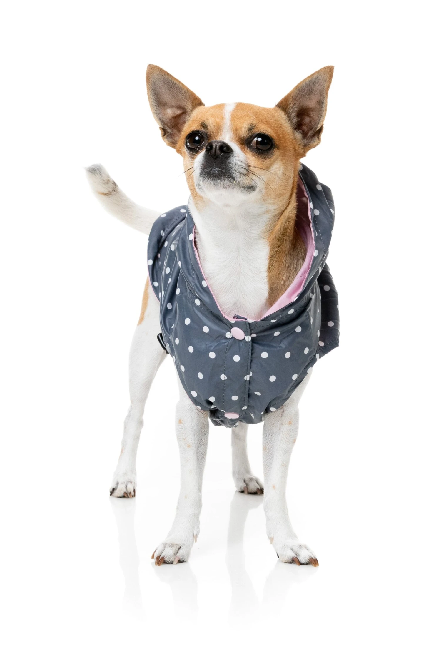 FuzzYard Flipside Dog Raincoat Pink 7 FuzzYard Flipside Dog Raincoat Pink - Image 5