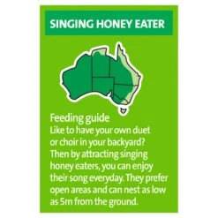 Harmony Lorikeet & Honeyeater Mix -Pet Supplies Shop 4 harmony lorikeet honeyeater mix