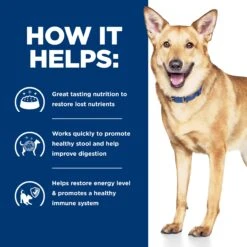 Hill's Prescription Diet I/d Digestive Care Chicken & Vegetable Stew Canned Dog Food 156g X 24 18 Hill's Prescription Diet I/d Digestive Care Chicken & Vegetable Stew Canned Dog Food 156g X 24 -Pet Supplies Shop 4 hills prescription diet i d digestive care chicken vegetable stew canned dog food 156g x 24 e0ec341c 3a09 4228 bf3d 159e91014677