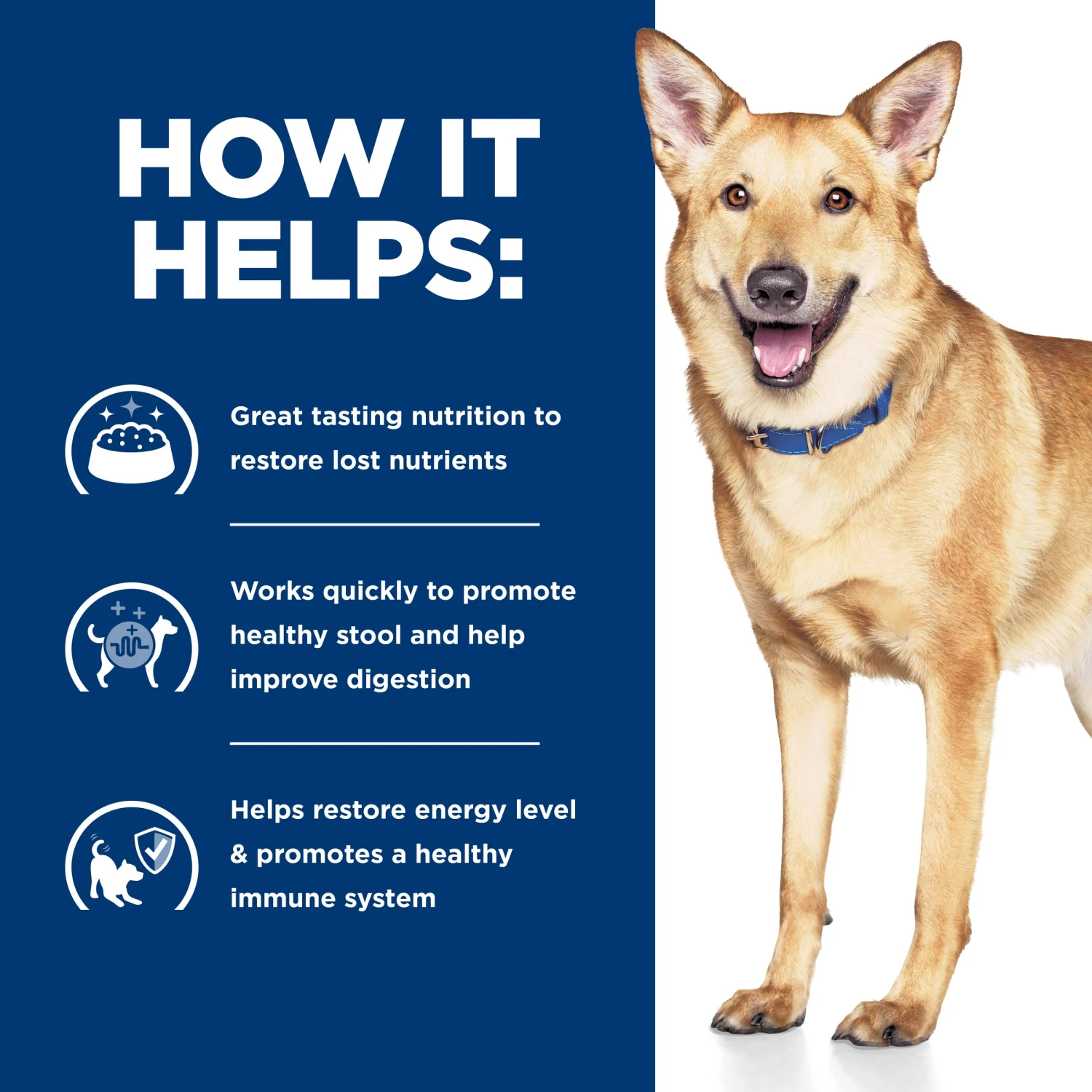 Hill's Prescription Diet I/d Digestive Care Chicken & Vegetable Stew Canned Dog Food 156g X 24 7 Hill's Prescription Diet I/d Digestive Care Chicken & Vegetable Stew Canned Dog Food 156g X 24 - Image 5