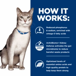 Hill's Prescription Diet K/d Kidney Care Chicken Cat Food Pouches 85g X 12 -Pet Supplies Shop 4 hills prescription diet k d kidney care chicken cat food pouches 85g x 12