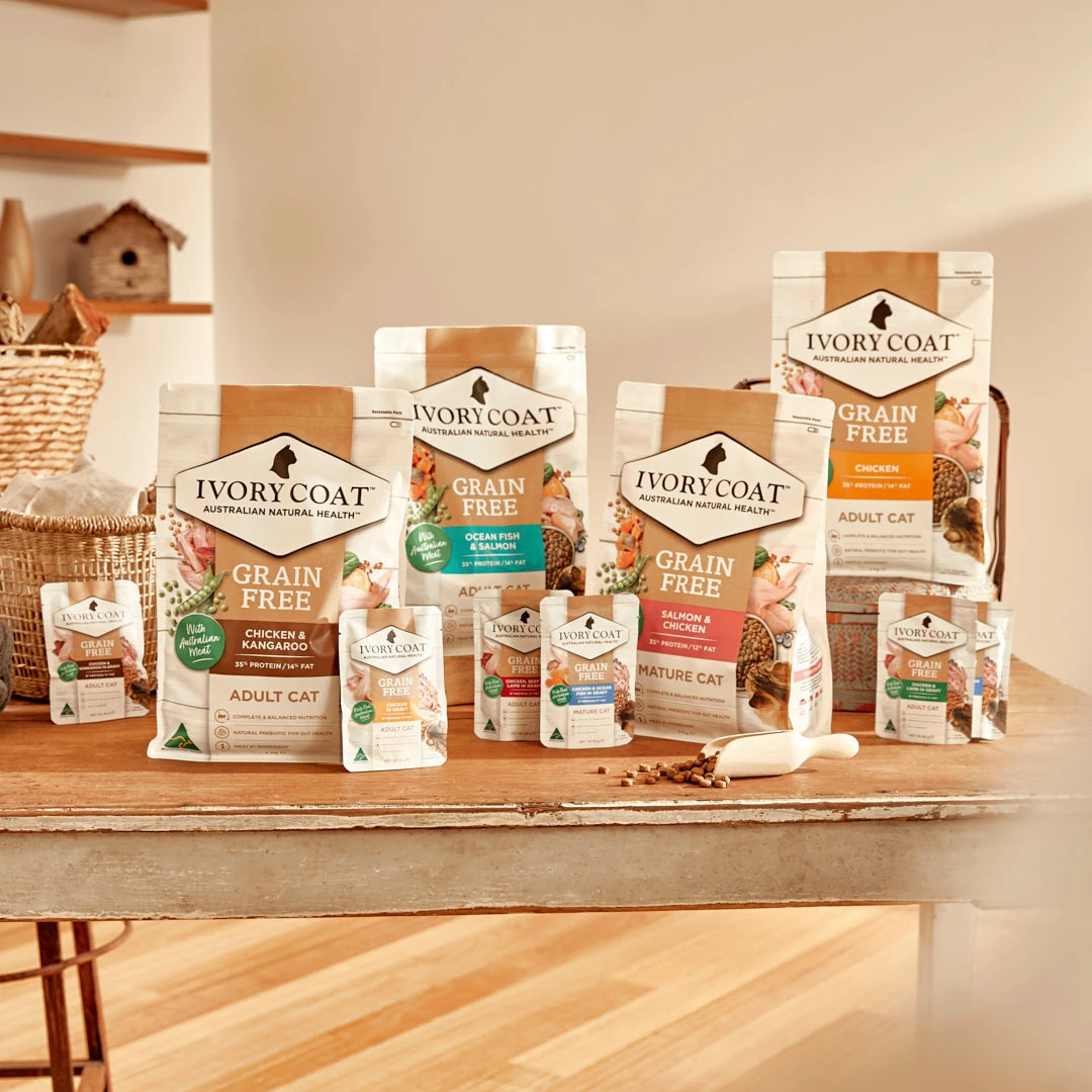 Ivory Coat Grain Free Adult Chicken Gravy Cat Wet Food 85g X 12 8 Ivory Coat Grain Free Adult Chicken Gravy Cat Wet Food 85g X 12 - Image 6