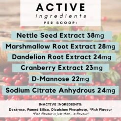 Petz Park Urinary + Kidney For Cats 90g -Pet Supplies Shop 4 petz park urinary kidney for cats 100g