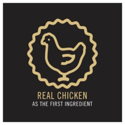 Pro Plan Chicken Kitten Dry Cat Food 3.5kg 17 Pro Plan Chicken Kitten Dry Cat Food 3.5kg -Pet Supplies Shop 4 pro plan chicken kitten dry cat food 3 5kg