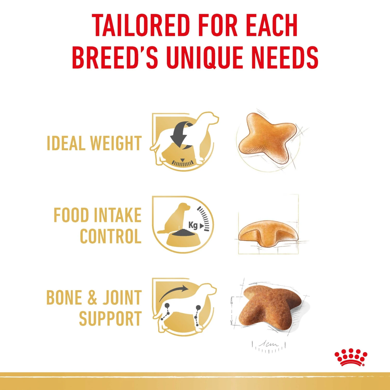 Royal Canin Dog Beagle Adult Dry Food 7 Royal Canin Dog Beagle Adult Dry Food - Image 5