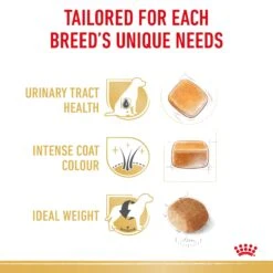 Royal Canin Dog Miniature Schnauzer Adult Dry Food 13 Royal Canin Dog Miniature Schnauzer Adult Dry Food -Pet Supplies Shop 4 royal canin dog miniature schnauzer adult dry food ee8e77ec 2d58 411c 8541 b021e1a51dcf