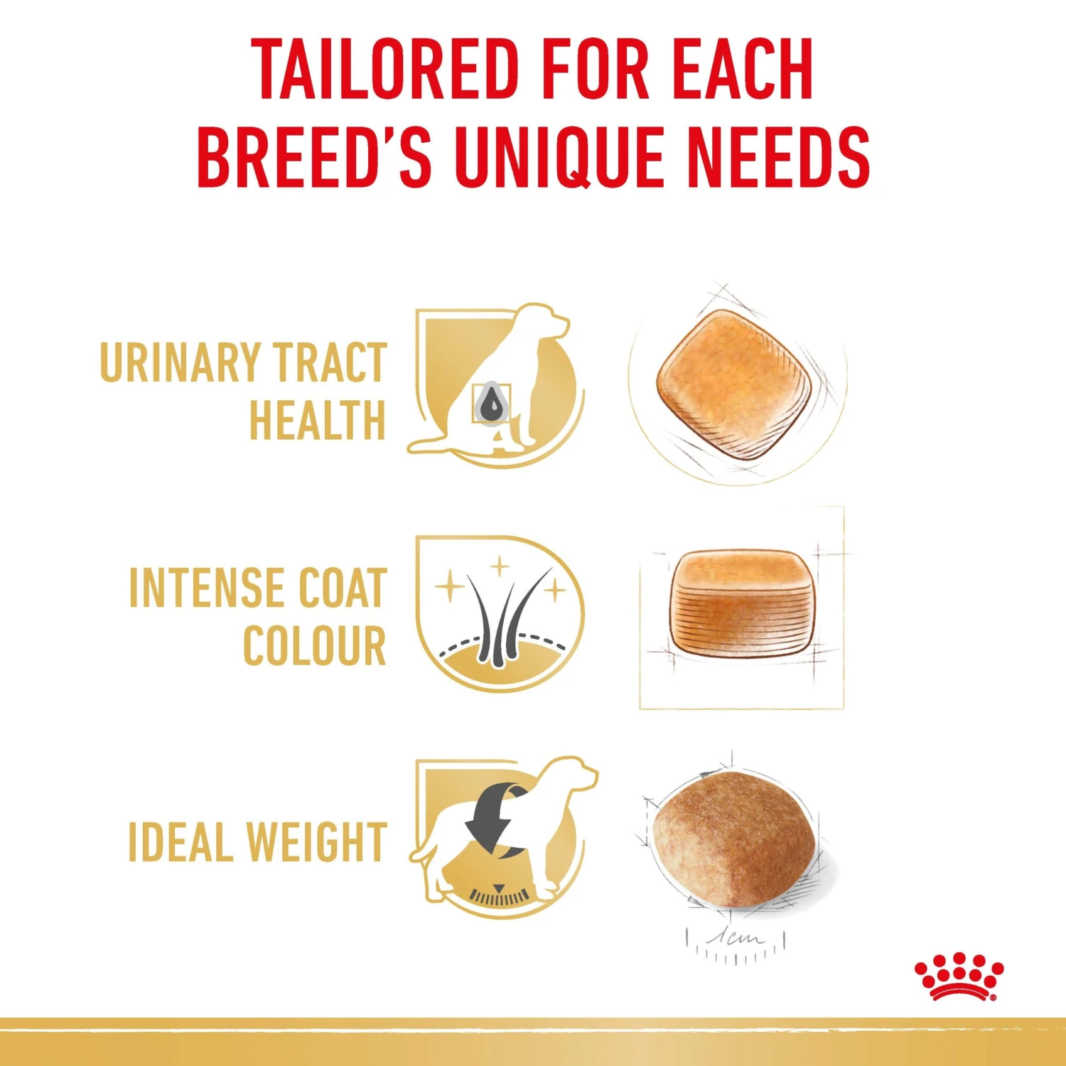 Royal Canin Dog Miniature Schnauzer Adult Dry Food 6 Royal Canin Dog Miniature Schnauzer Adult Dry Food - Image 5