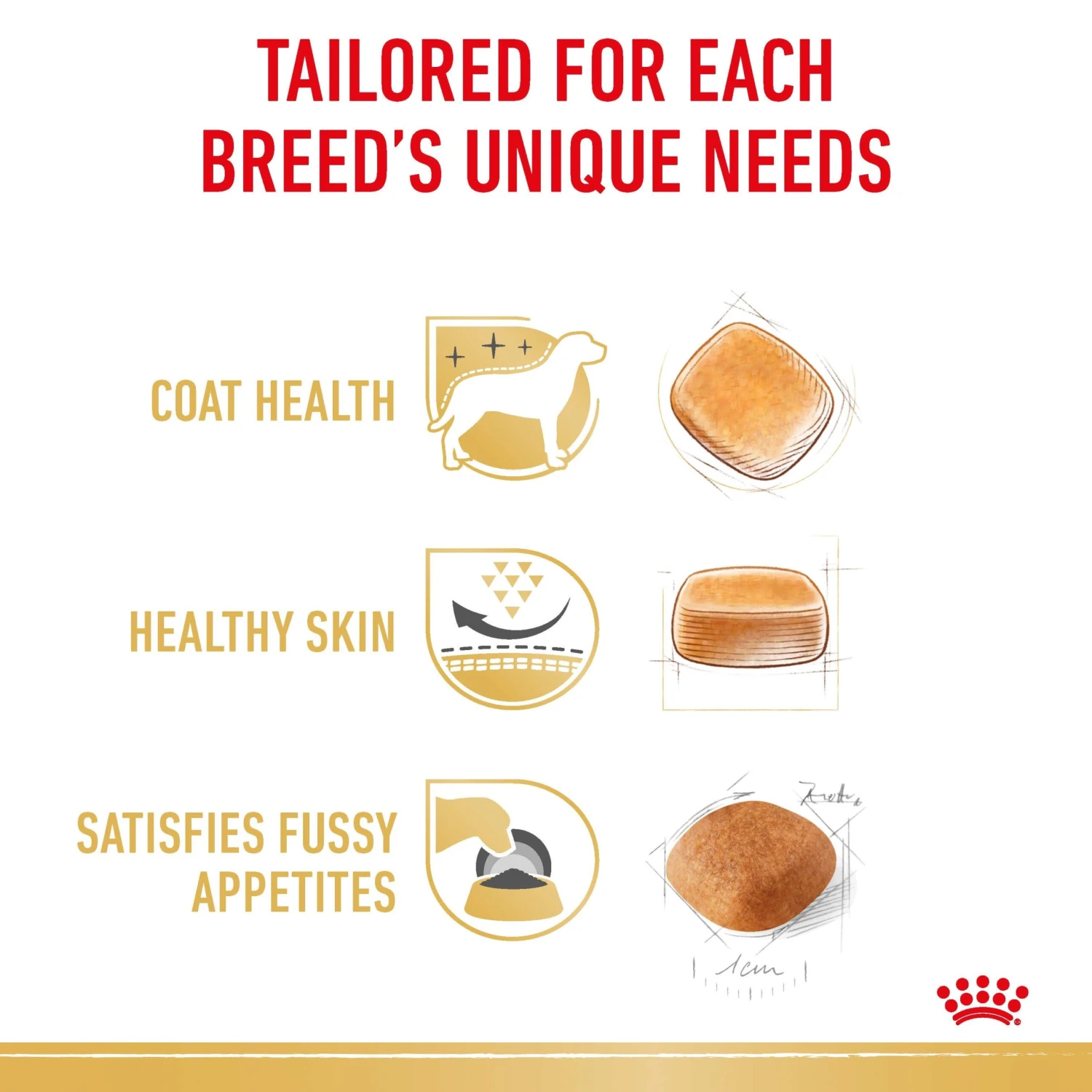 Royal Canin Dog West Highland White Terrier Adult Dry Food 3kg 7 Royal Canin Dog West Highland White Terrier Adult Dry Food 3kg - Image 5