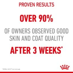 Royal Canin Hair & Skin Care Jelly Adult Wet Cat Food Pouches 85g X 12 19 Royal Canin Hair & Skin Care Jelly Adult Wet Cat Food Pouches 85g X 12 -Pet Supplies Shop 4 royal canin hair and skin care jelly adult wet cat food pouches 85g x 12