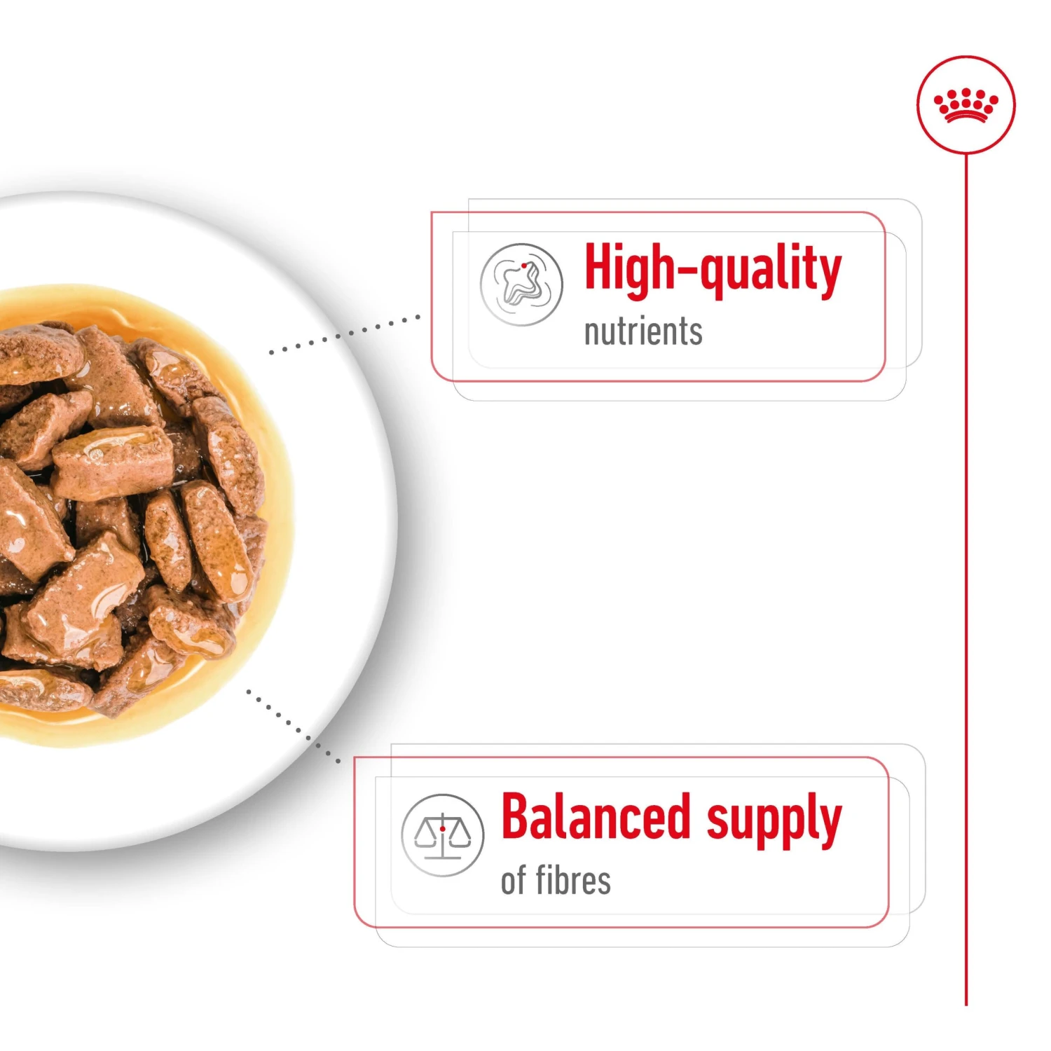 Royal Canin Maxi Adult Wet Dog Food Pouches 140g X 10 8 Royal Canin Maxi Adult Wet Dog Food Pouches 140g X 10 - Image 6