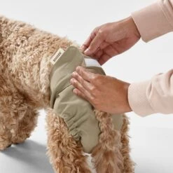 Snooza Washable Nappy Pant For Female Dogs 2 Pack -Pet Supplies Shop 4 snooza washable nappy pant for female dogs 2 pack