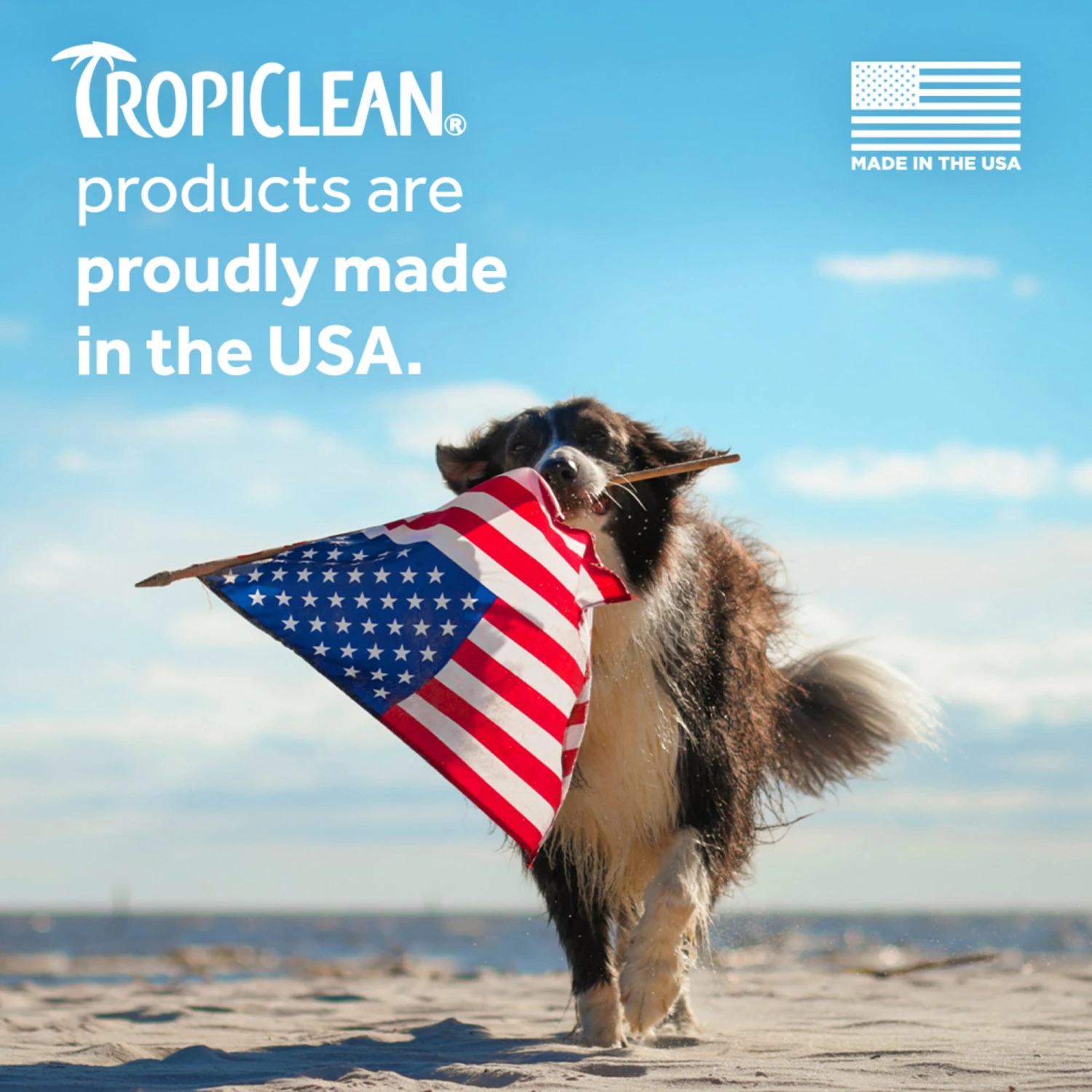 TropiClean Waterless Dander Reducing Cat Shampoo 220ml 7 TropiClean Waterless Dander Reducing Cat Shampoo 220ml - Image 5