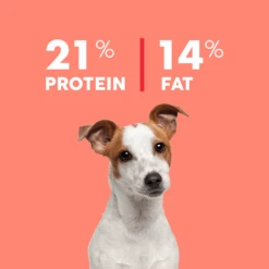 True Colours Adult Fish & Brown Rice Dry Dog Food 13 True Colours Adult Fish & Brown Rice Dry Dog Food -Pet Supplies Shop 4 true colours adult fish brown rice dry dog food