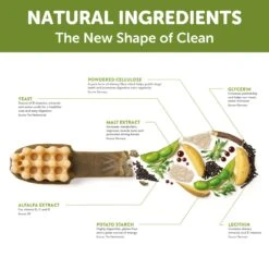 Whimzees Dog Dental Treats Toothbrush Star Large Value Bag 6 Pack 17 Whimzees Dog Dental Treats Toothbrush Star Large Value Bag 6 Pack -Pet Supplies Shop 4 whimzees dog dental treats toothbrush star large value bag 6