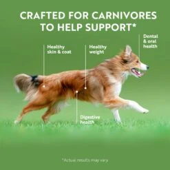 Ziwi Peak Dog Food Air Dried Tripe & Lamb -Pet Supplies Shop 4 ziwi peak dog food air dried tripe lamb