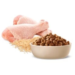 Advance Chicken And Rice Active Adult Dry Dog Food 17kg -Pet Supplies Shop 5 advance chicken and rice active adult dry dog food 13kg