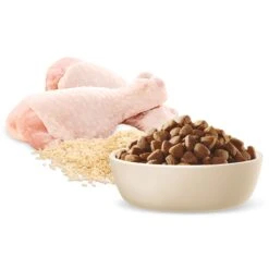 Advance Chicken And Rice Triple Action Dental Health Care Medium Breed Adult Dry Dog Food 13kg -Pet Supplies Shop 5 advance chicken and rice triple action dental health care medium breed adult dry dog food 13kg