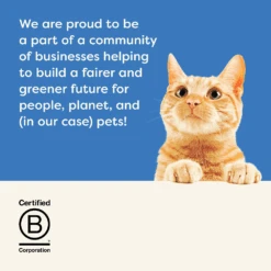 Applaws Natural Wet Cat Pouch Tuna & Salmon 70g X 16 -Pet Supplies Shop 5 applaws natural wet cat pouch tuna salmon 70g x 16