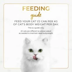 Fancy Feast Classic Pate Senior Chicken Feast Gourmet Wet Cat Food 85g X 24 15 Fancy Feast Classic Pate Senior Chicken Feast Gourmet Wet Cat Food 85g X 24 -Pet Supplies Shop 5 fancy feast classic pate senior chicken feast gourmet wet cat food 85g x 24