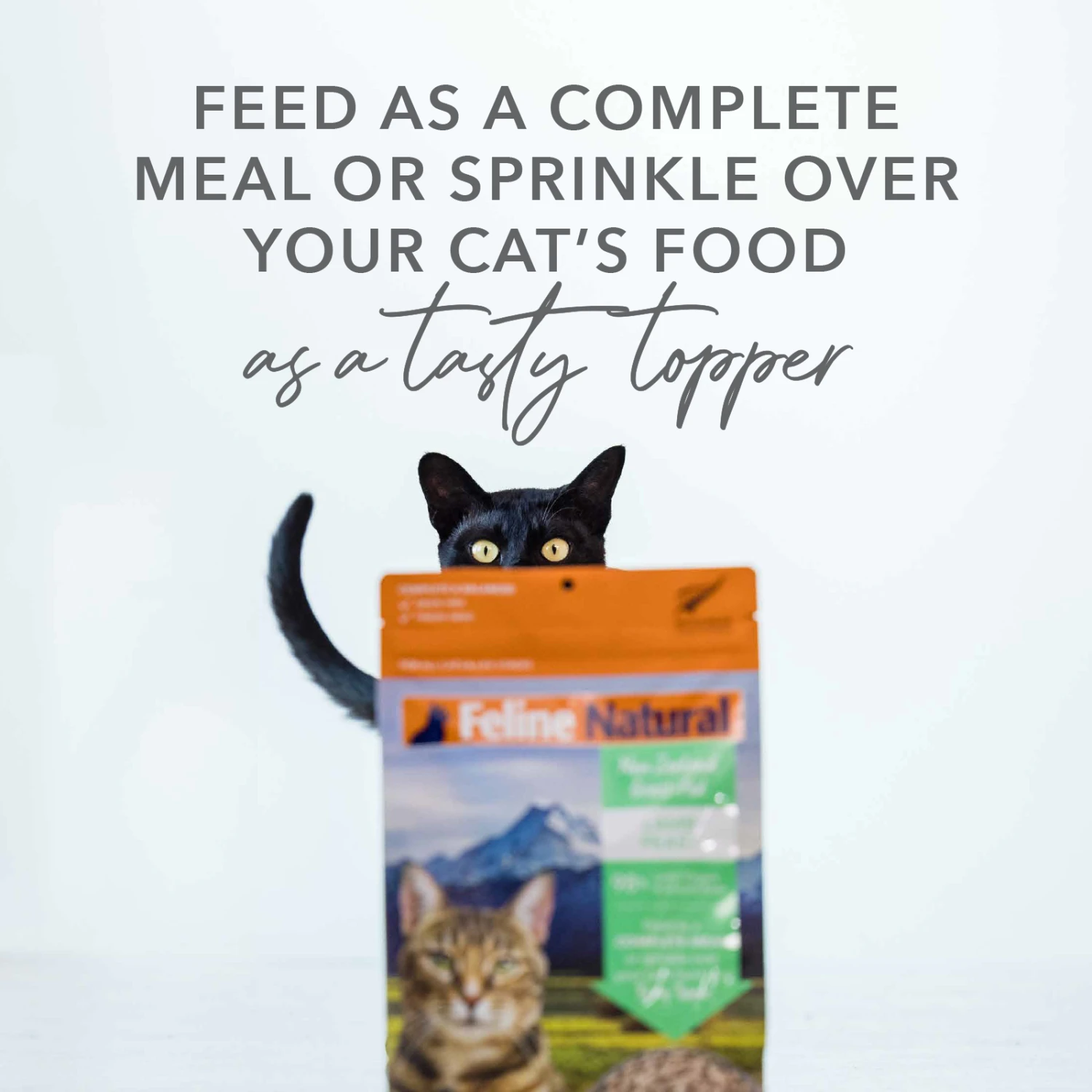 Feline Natural Grain Free Freeze Dried Cat Food Beef & Hoki 11 Feline Natural Grain Free Freeze Dried Cat Food Beef & Hoki - Image 9