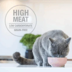 Feline Natural Grain Free Pouches Variety Box 85g X 12 14 Feline Natural Grain Free Pouches Variety Box 85g X 12 -Pet Supplies Shop 5 feline natural grain free pouches variety box 85g x 12