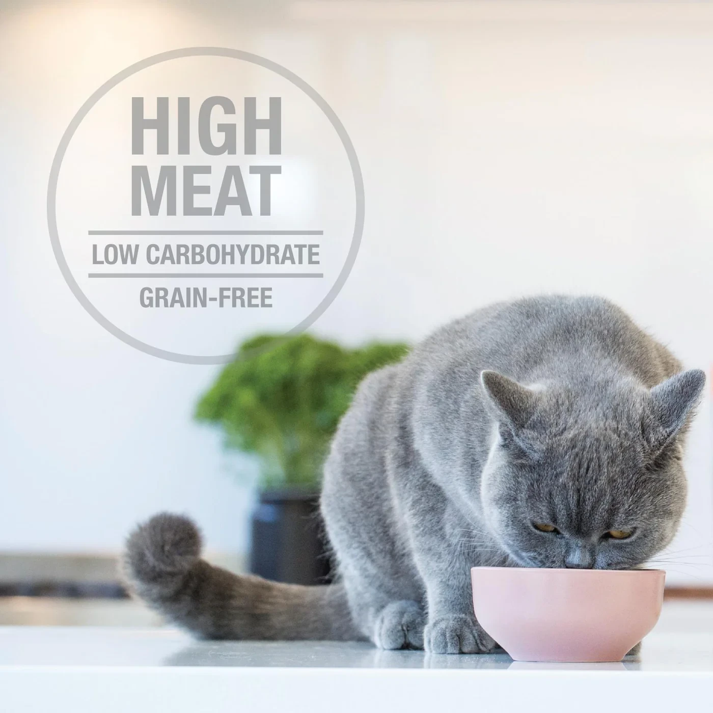 Feline Natural Grain Free Pouches Variety Box 85g X 12 8 Feline Natural Grain Free Pouches Variety Box 85g X 12 - Image 6