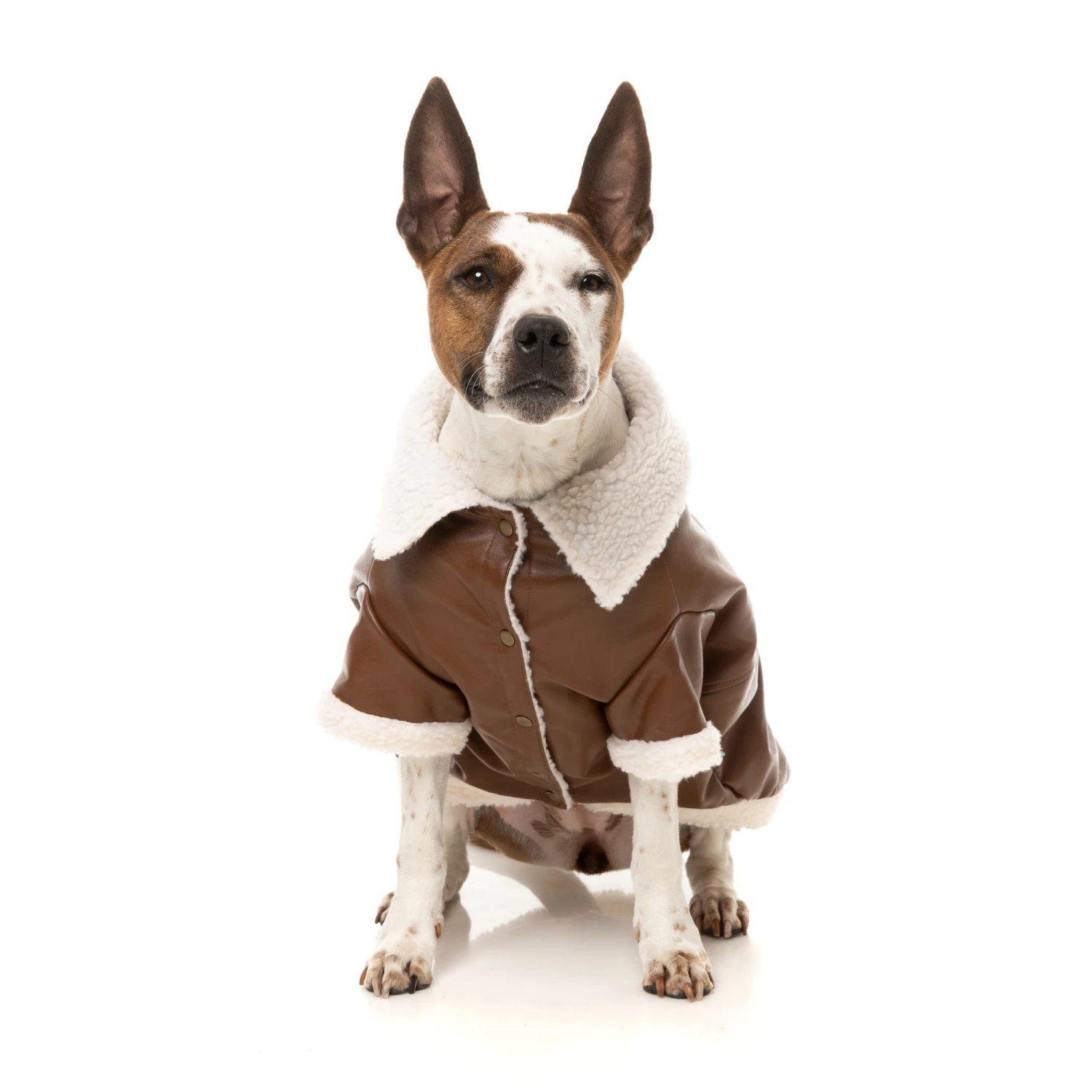 FuzzYard Ava Dog Jacket Brown 8 FuzzYard Ava Dog Jacket Brown - Image 6