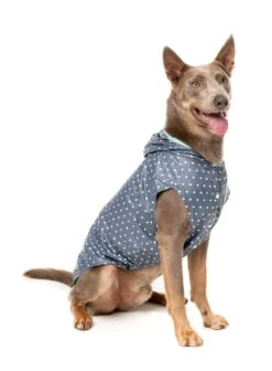 FuzzYard Flipside Dog Raincoat Mint -Pet Supplies Shop 5 fuzzyard flipside dog raincoat mint