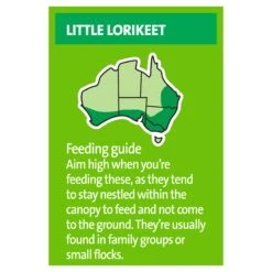 Harmony Lorikeet & Honeyeater Mix -Pet Supplies Shop 5 harmony lorikeet honeyeater mix