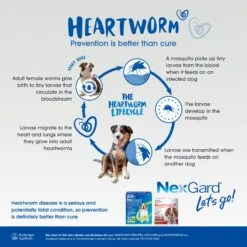 Heartgard Plus Chews For Dogs Up To 11kg 6 Pack 7 Heartgard Plus Chews For Dogs Up To 11kg 6 Pack -Pet Supplies Shop 5 heartgard plus chews for dogs 32d96128 be8f 4e00 83c9 1121889c9d49