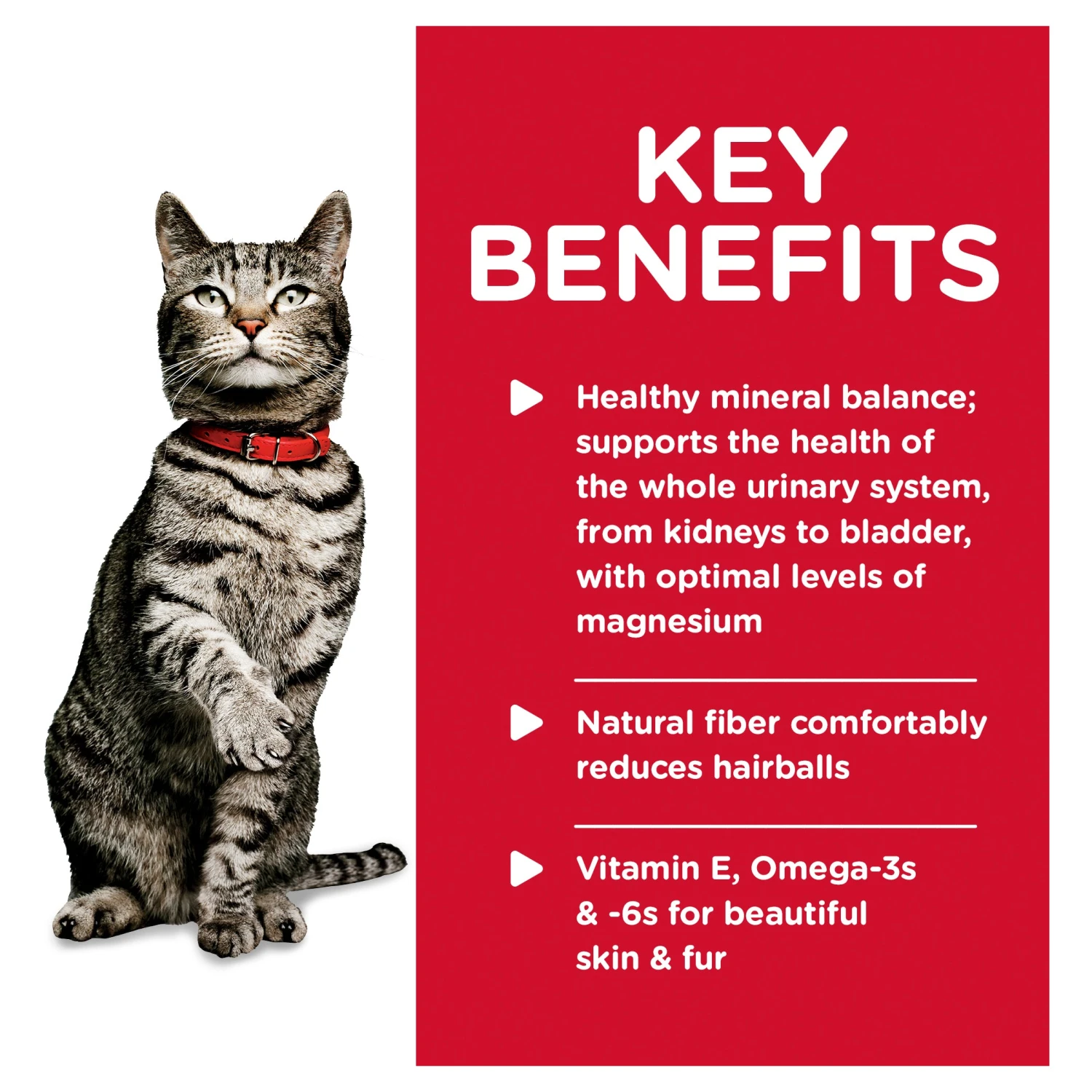 Hill's Science Diet Adult Urinary Hairball Control Chicken Pouch Cat Food 85g X 12 8 Hill's Science Diet Adult Urinary Hairball Control Chicken Pouch Cat Food 85g X 12 - Image 6