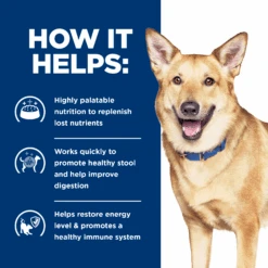 Hill's Prescription Diet I/d Digestive Care Canned Dog Food 360g X 12 18 Hill's Prescription Diet I/d Digestive Care Canned Dog Food 360g X 12 -Pet Supplies Shop 5 hills prescription diet i d digestive care canned dog food 360g x 12