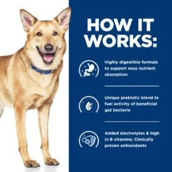 Hill's Prescription Diet I/d Digestive Care Chicken & Vegetable Stew Canned Dog Food 156g X 24 19 Hill's Prescription Diet I/d Digestive Care Chicken & Vegetable Stew Canned Dog Food 156g X 24 -Pet Supplies Shop 5 hills prescription diet i d digestive care chicken vegetable stew canned dog food 156g x 24 9ae26570 3711 44b6 a287 b3a3c86c3402