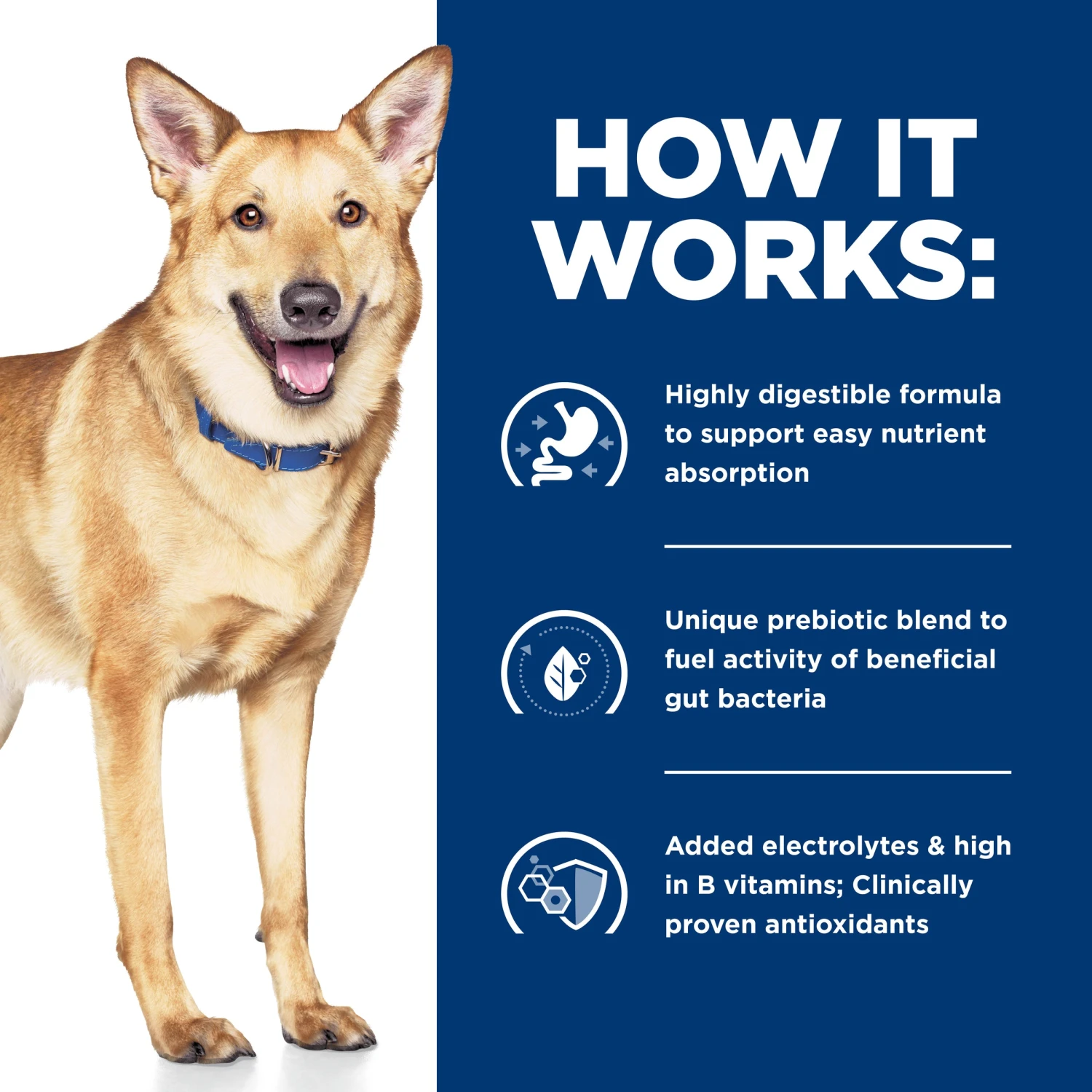 Hill's Prescription Diet I/d Digestive Care Chicken & Vegetable Stew Canned Dog Food 156g X 24 8 Hill's Prescription Diet I/d Digestive Care Chicken & Vegetable Stew Canned Dog Food 156g X 24 - Image 6