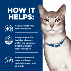 Hill's Prescription Diet K/d Kidney Care Chicken Cat Food Pouches 85g X 12 -Pet Supplies Shop 5 hills prescription diet k d kidney care chicken cat food pouches 85g x 12