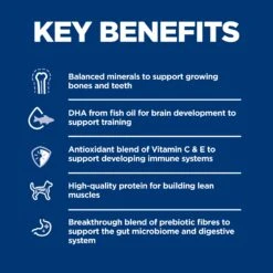 Hill's Science Diet Puppy Dry Dog Food -Pet Supplies Shop 5 hills science diet puppy dry dog food