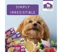 Indomitable Patagonia Creamy Cremes Raspberry Grain Free Dog Treats 120g -Pet Supplies Shop 5 indomitable creamy cremes raspberry grain free dog treats 120g
