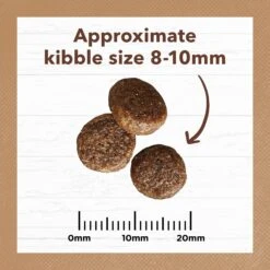 Ivory Coat Adult Grain Free Chicken & Kangaroo Dry Cat Food 4kg -Pet Supplies Shop 5 ivory coat adult grain free chicken kangaroo dry cat food