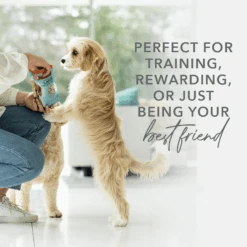 K9 Natural Grain Free Freeze Dried Dog Treats Beef Bites 50g 13 K9 Natural Grain Free Freeze Dried Dog Treats Beef Bites 50g -Pet Supplies Shop 5 k9 natural grain free freeze dried dog treats beef bites 50g