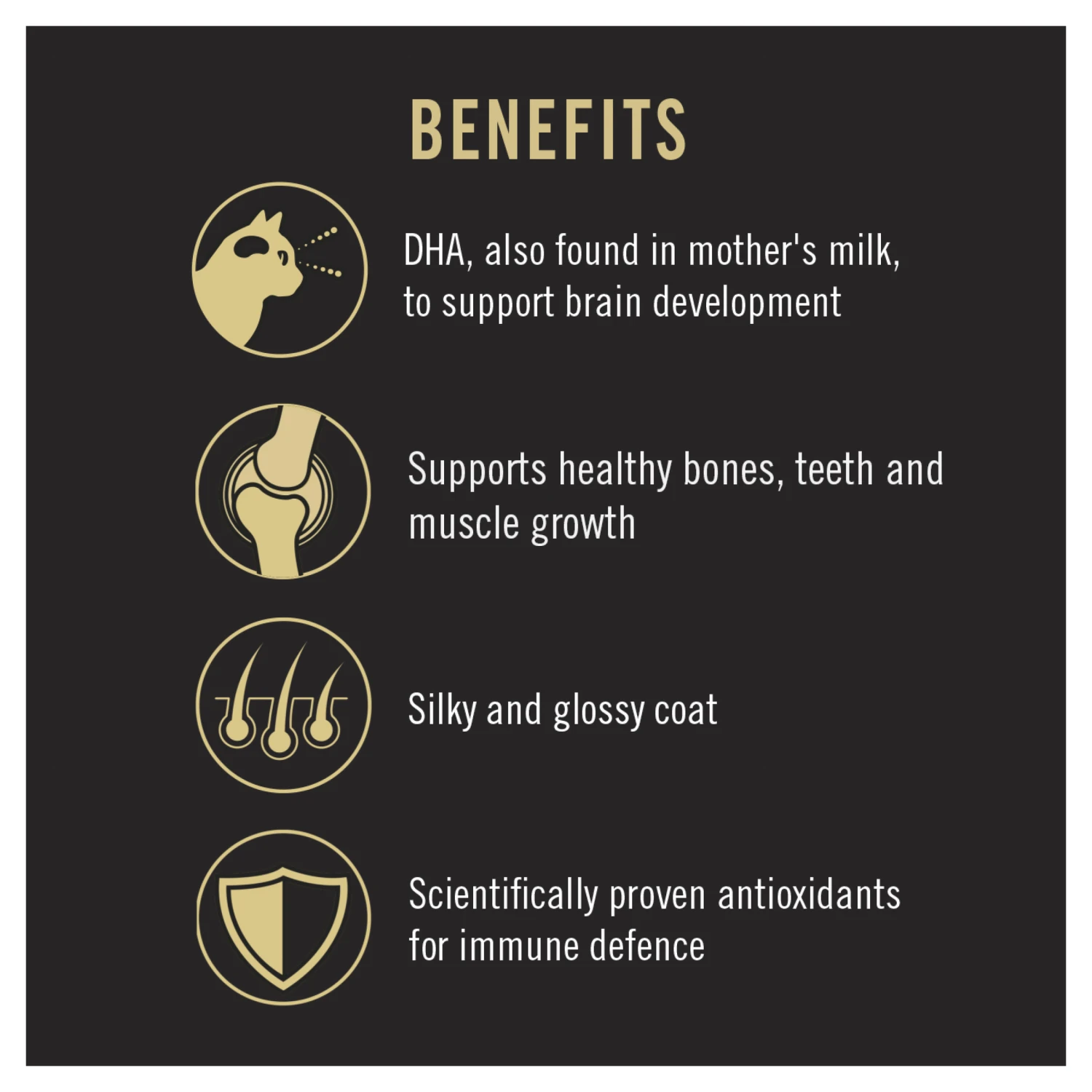 Pro Plan Chicken Kitten Dry Cat Food 3.5kg 8 Pro Plan Chicken Kitten Dry Cat Food 3.5kg - Image 6