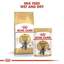 Royal Canin British Shorthair Adult Dry Cat Food 4kg 14 Royal Canin British Shorthair Adult Dry Cat Food 4kg -Pet Supplies Shop 5 royal canin british shorthair adult dry cat food 4kg