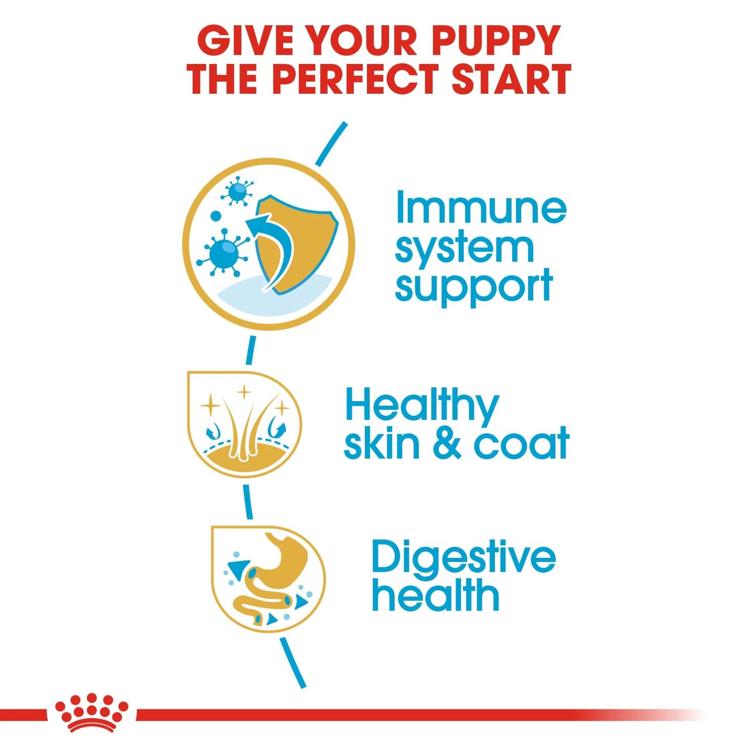 Royal Canin Dog Cocker Spaniel Puppy Dry Food 3kg 8 Royal Canin Dog Cocker Spaniel Puppy Dry Food 3kg - Image 6