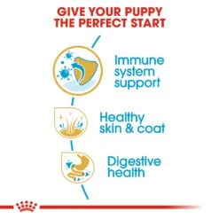 Royal Canin Golden Retriever Puppy Dry Dog Food 12kg -Pet Supplies Shop 5 royal canin golden retriever puppy dry dog food 12kg ad6b1c3d ade1 4469 8f7e 5acf6ac8f2cc