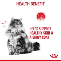 Royal Canin Hair & Skin Gravy Adult Wet Cat Food Pouches 85g X 12 -Pet Supplies Shop 5 royal canin hair and skin gravy adult wet cat food pouches 85g x 1