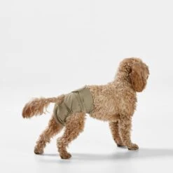 Snooza Washable Nappy Pant For Female Dogs 2 Pack -Pet Supplies Shop 5 snooza washable nappy pant for female dogs 2 pack