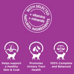 Whiskas Favourites Cat Adult 1+yrs Beef Chunks In Jelly 85g X 12 -Pet Supplies Shop 5 whiskas favourites cat adult 1yrs beef chunks in jelly 85g x 12