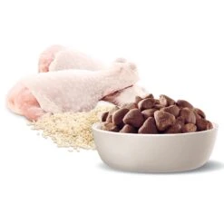 Advance Chicken And Rice Large Breed Adult Dry Dog Food -Pet Supplies Shop 6 advance chicken and rice large breed adult dry dog food