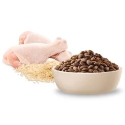 Advance Chicken And Rice Puppy Large Breed Dry Dog Food 20kg 18 Advance Chicken And Rice Puppy Large Breed Dry Dog Food 20kg -Pet Supplies Shop 6 advance puppy large breed chicken with rice dry dog food 20kg