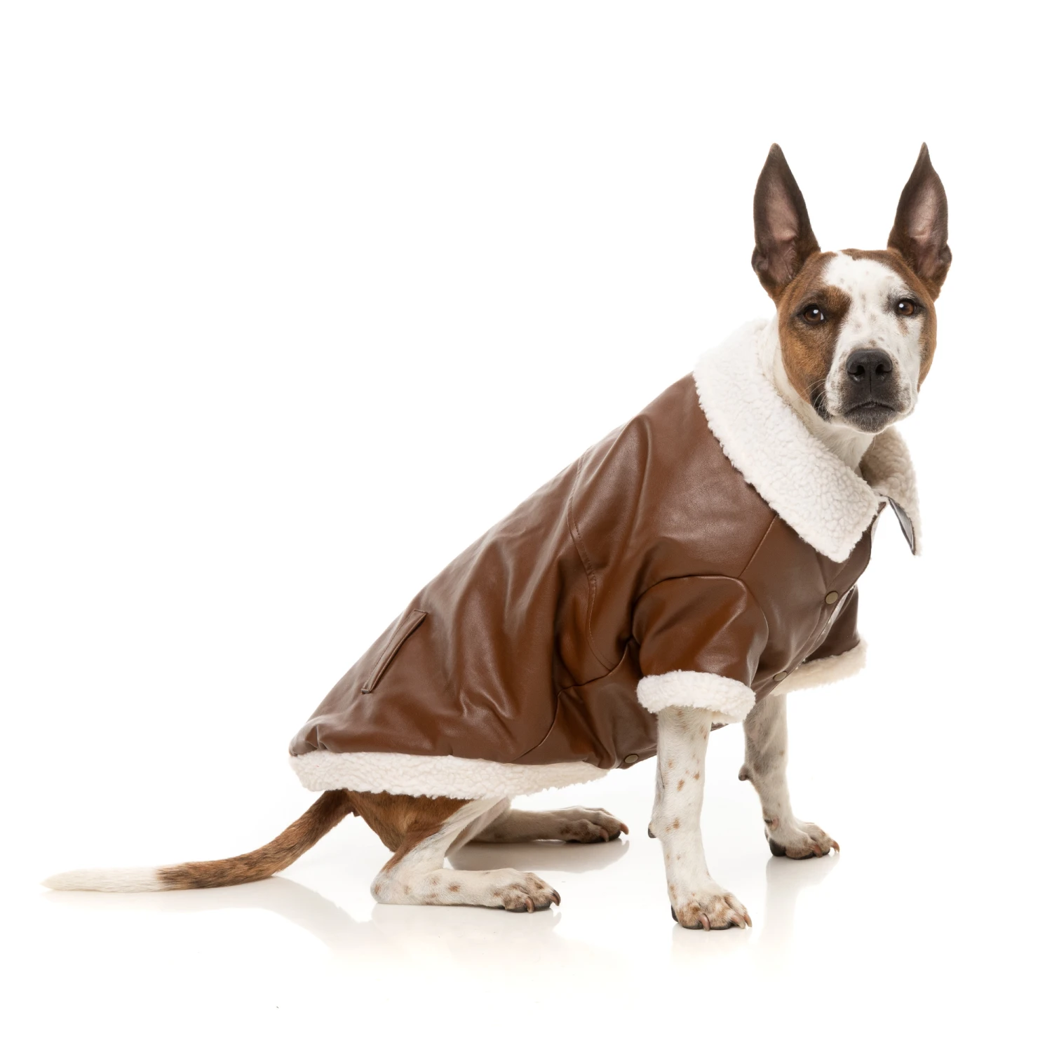 FuzzYard Ava Dog Jacket Brown 9 FuzzYard Ava Dog Jacket Brown - Image 7